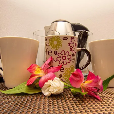 Sunny Paradise Ll 3* Kiten (Burgas)